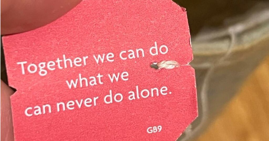 Insieme - Foto di Copertina Together we can do what we can never do alone.